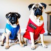 Service Dog Patch Dog Patches Funny Patch Assistance Dogs Patch