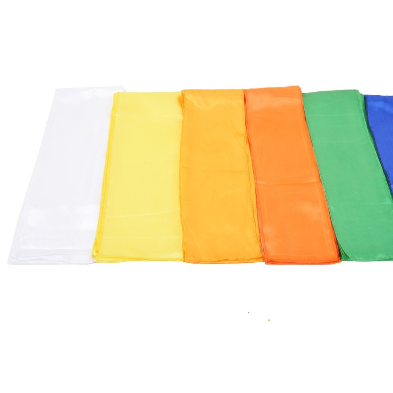 ShenLong Kungfu Wushu Belt - White