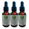 3 Aceite De Orégano 100 Natural Orgánico 30 Ml Verde