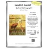 On The Trail Creations Sandhill Sunset Wall Hanging Art Quilt