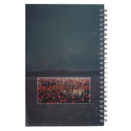 My Prayer Notes Wirebound Notebook