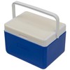 Andes 5L Cool Box for Food and Drinks, Fits 6