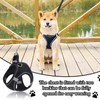 Reflective Anti-Pull Dog Harness & Leash Set | Adjustable Step-in