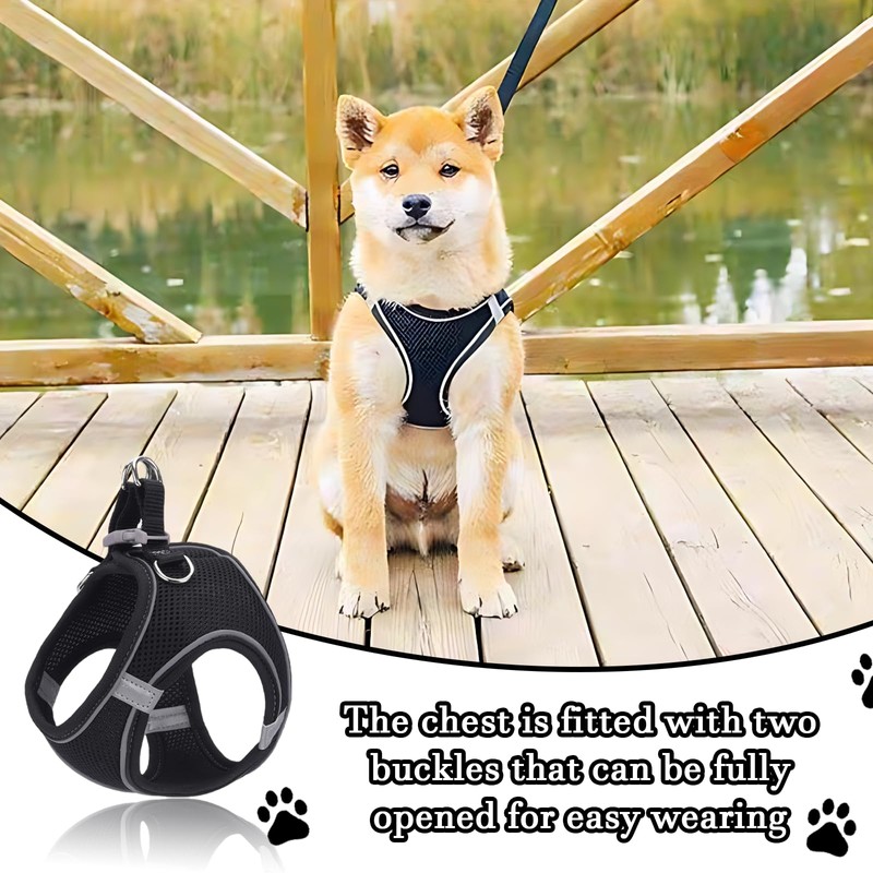Reflective Anti-Pull Dog Harness & Leash Set | Adjustable Step-in