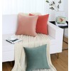 Jeneoo Set of 2 Cozy Soft Velvet Throw Pillow Cases