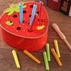Capture Worm Magnetic Wooden Toy Kid Educational Intelligence Development Toys
