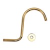 Stainless Steel S Shaped Raised Shower Arm and Flange NPT