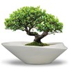 18 Inch Ceramic Bonsai Planter Pot with Drainage Hole, Glazed