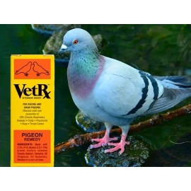 VetRx - Veterinary Aid for Pigeon 2 oz.