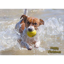 Jack Russell Dog Christmas Card 'Happy Christmas' - Special Animal Xmas Card for Him Her from Pets Kids