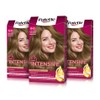 Schwarzkopf Palette Intensive Cream Colour Permanent Colour 6 Dark Blonde