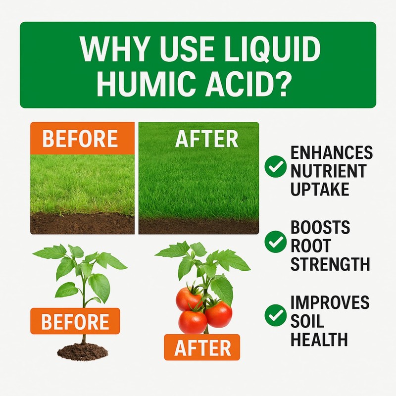 Organic Liquid Humic Acid,32 fl oz Concentrate