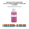 Summer Snow Entertainment DINOSAUR MIX SNOW CONE/SHAVED ICE FLAVOR CONCENTRATE MAKES 1 QUART