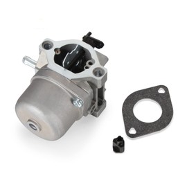 Madlife Garage Carburetor for Briggs & Stratton 799728 Replaces 494392 498027 498231 499161 Engine Carb with Gasket