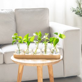 Mkono Desktop Plant Propagation Glass Vase Station Retro Plant Terrarium with Wooden Tray Bulb Flower Vase Container Perfect for Propagating Hydroponic Plants Home Office Decor Plant Lover Gift Idea