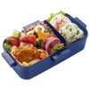 Skater PFLB6AG-A Antibacterial Fluffy Lunch Box with Dome-Shaped Lid, 18.9