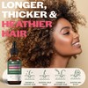 Hair Illusion 100% NATURAL ORGANIC ROSEMARY MINT OIL | Maximum