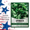 Gardeners Basics, Bloomsdale Spinach Seeds for Planting is A Great