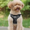 Dog Harness Medium Breathable Vest Adjustable Cat Harnes and Lead