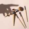 EcoTools, Start The Day Beautifully Kit, Set de Brochas para