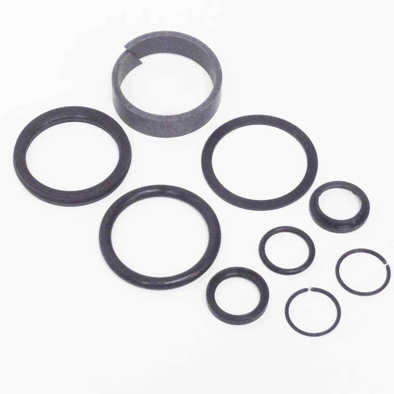 Forward Lift 2 post Cylinder Seal Kit / rebuild kit