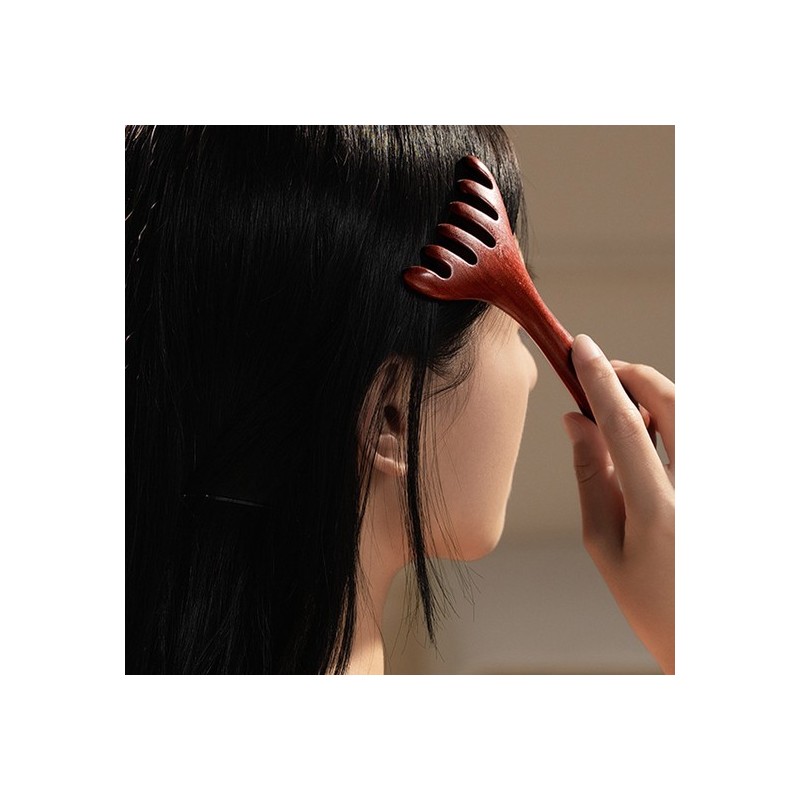 Luz Luna Rouge Luna Facial Cleansing Comb Scalp Massage Comb