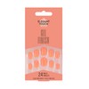 Elegant Touch Core Colour Apricot Crush