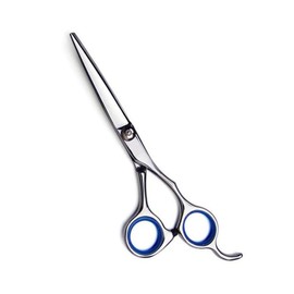 Baluue Tools 6-inch Stainless Steel Hair Shears Straight Scissors for Hair Cutting Professionals