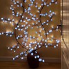 Blue Cherry Blossom LED Lights for Bedroom Decor, BomKra Cherry