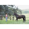 Hunters Saddlery Natural Horsemanship Rope Halter Headcollar Compatible with Parelli