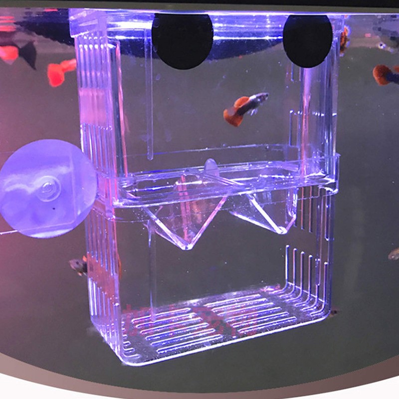 FGXY Aquarium Fish Breeding Box, Plastic Fish Isolation Box, Multi-Functional