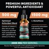 2000MG Liposomal Glutathione Liquid Drops, Ultra High Absorption, Natural Detoxification,