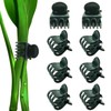 BEADNOVA Orchid Support Clips - 300PCS Plant Clips for Flower,