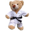 Build Your Own Teddy Bear Craft Kit with Karate Outfit