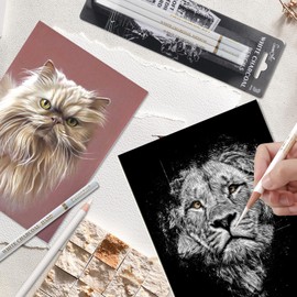 UICCVOKK Charcoal Drawing Pencils Set, White Charcoal Pencils for Artists Charcoal Pencils White Artist Pencil Drawing White Pencils Charcoal Pencils Drawing, Soft/Medium/Hard(White, 3 Pcs)