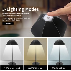 NOTOC LED Cordless Floor lamp,Waterproof Outdoor Floor Lamp,Adjustable Height Rechargeable Floor & Desk Lamp,Modern Portable Tall Pole Standing Light for Outdoor,Living Room,Bedroom