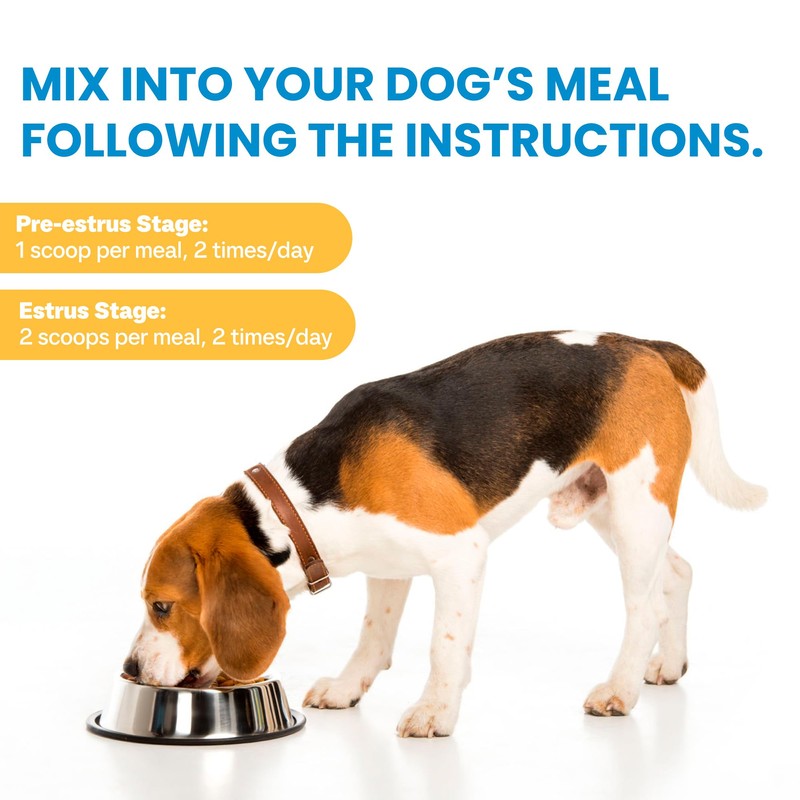 Stud Dog Breeding Supplement – Promotes Sperm Quality, Count &