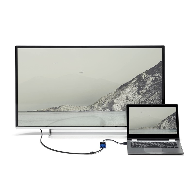 Sanwa Supply HDMI-VGA Conversion Adapter (HDMI A Male to VGA