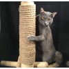 boohugger Bamboo and Jute Cat Scratching Post