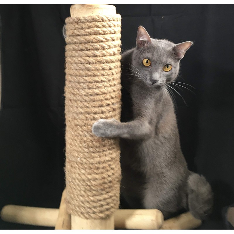 boohugger Bamboo and Jute Cat Scratching Post