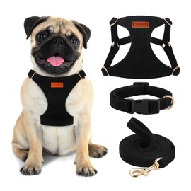No Pull Dog Harness- Lightweight, Soft, Adjustable Small Harness Collar and Leash Set, Suitable for Cats Puppy Small and Medium-Sized Dog Outdoor Training and Running (Black, S)