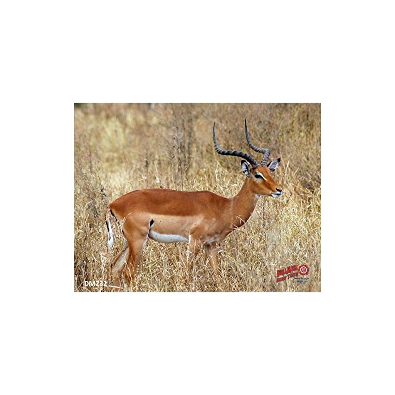 Duramesh Archery Targets Impala, DM 232