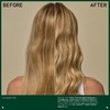 Aveda Color Control Light Shampoo | Color Protection Shampoo |