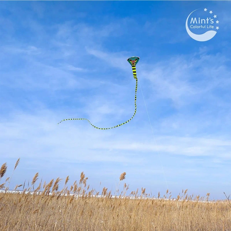 Gran Cometa De Cobra Para Niños Adultos Con Cola Superlarga