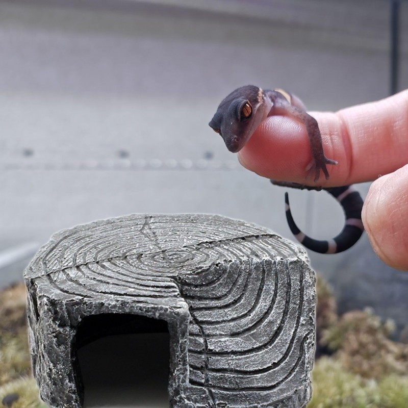 SevenTone Reptile Shelter Small Cave Aquarium Object Rock Lizard Turtle