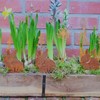 Garden Stake Easter Decoration Rabbit – Set of 3 Rust