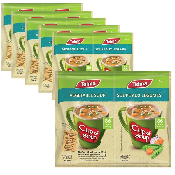 Telma Vegetable Soup - Packaged Instant Soups - Instant Packet Soup Cup - 2 x 22g (6-Pack)