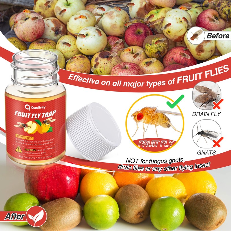 Qualirey 3 Pack Fruit Fly Traps for Indoors, 0.68oz/ Bottle