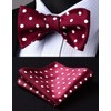 Hisdern Braces Y Shape Elastic and Adjustable Bow Tie Handkerchief