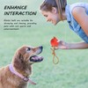 CQQNIU 3Pcs Teething Balls And 3Pcs Teething Rope Knots, Pet